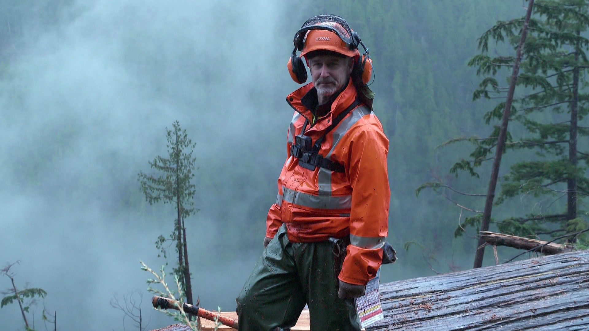 Wettlauf mit dem Winterende