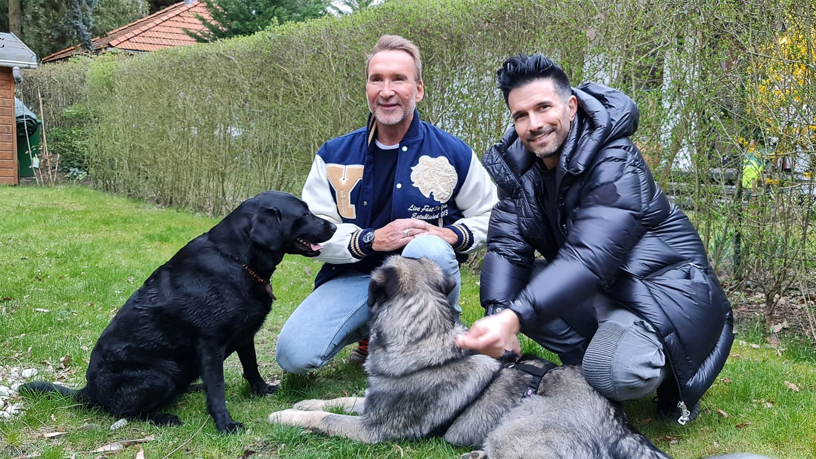 Hunde-Duo außer Rand und Band