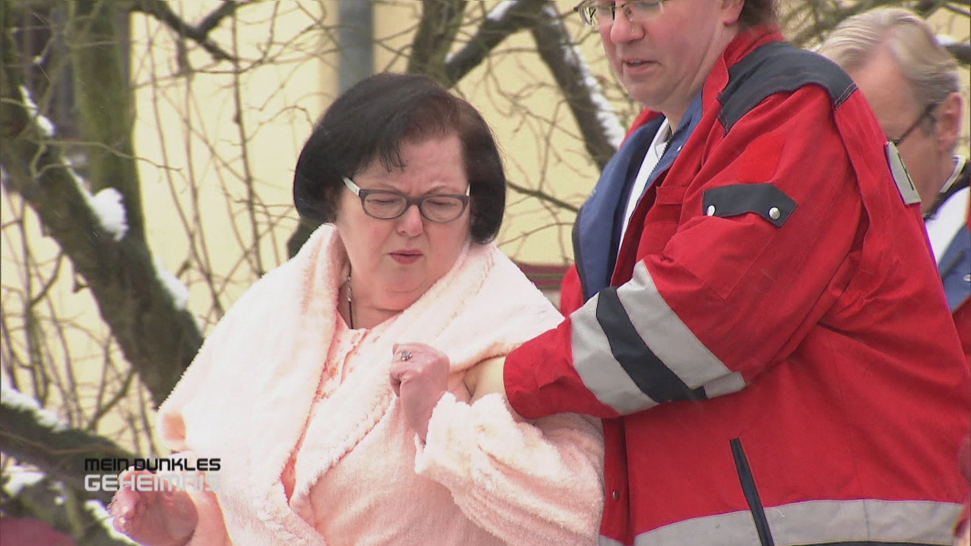 Die verrückte Katzenmutter