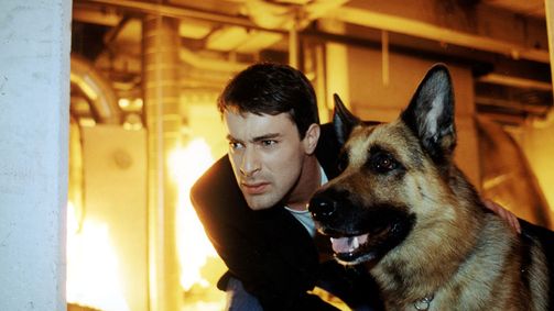 Kommissar Rex Staffel 6 Folge 6: Brudermord