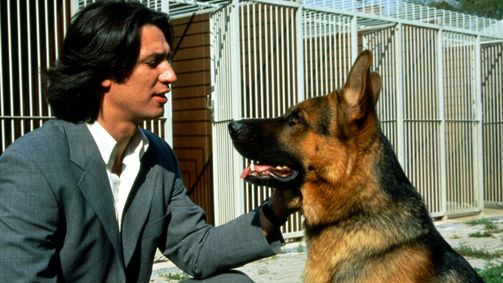 Kommissar Rex Staffel 1 Folge 1: Endstation Wien - Pilot