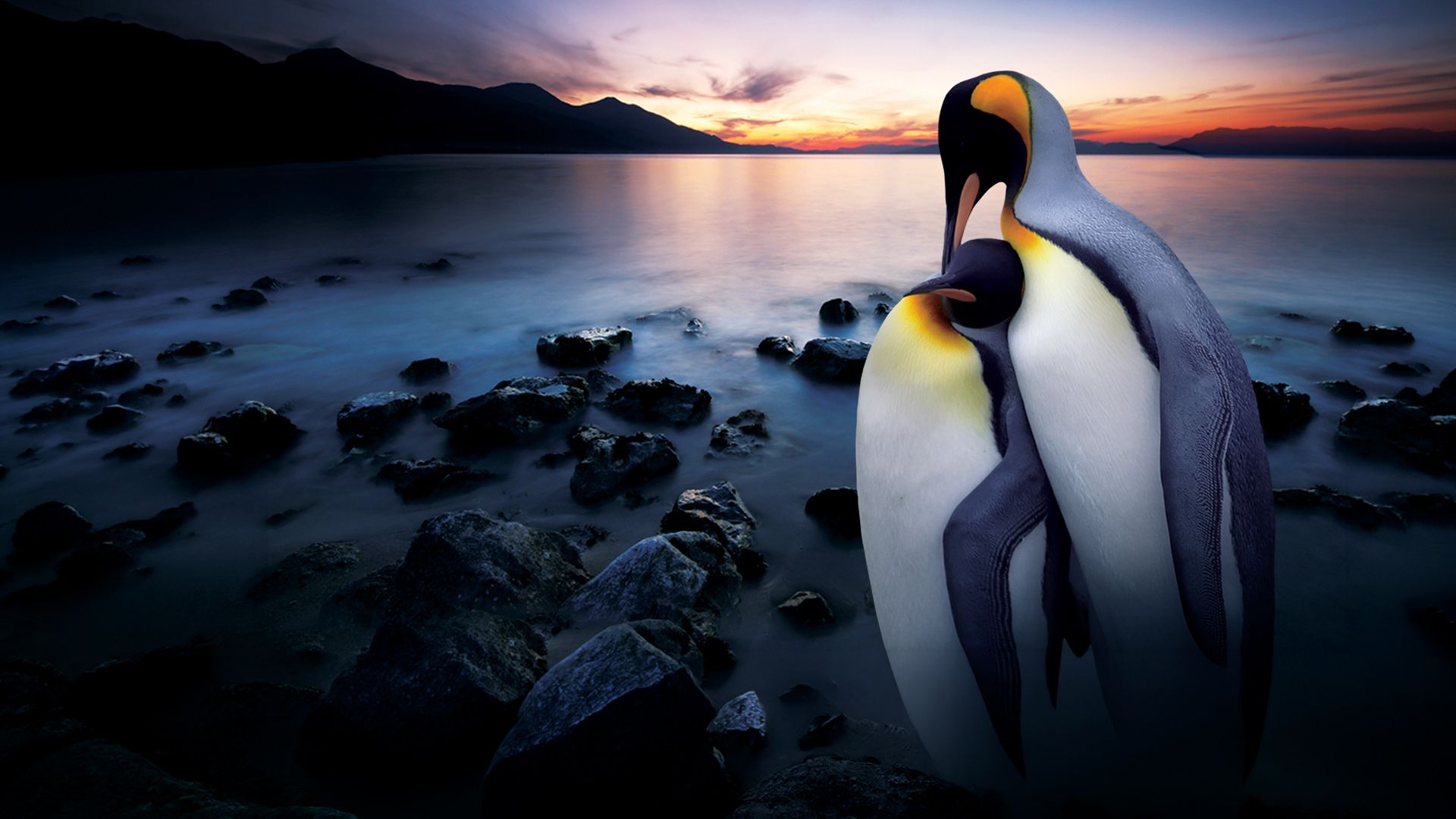 Das Kaiserreich der Tiere