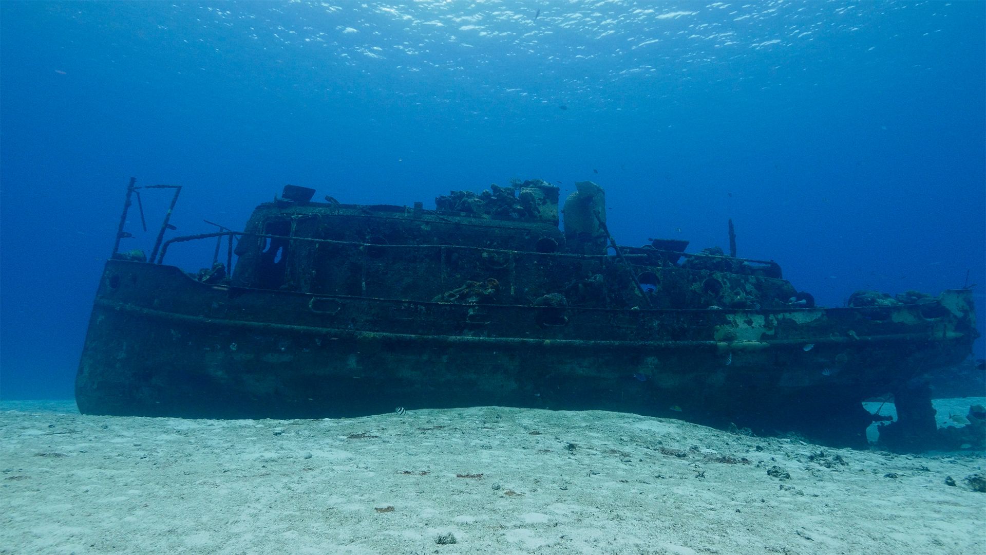 Künstliche Riffe in Mexiko