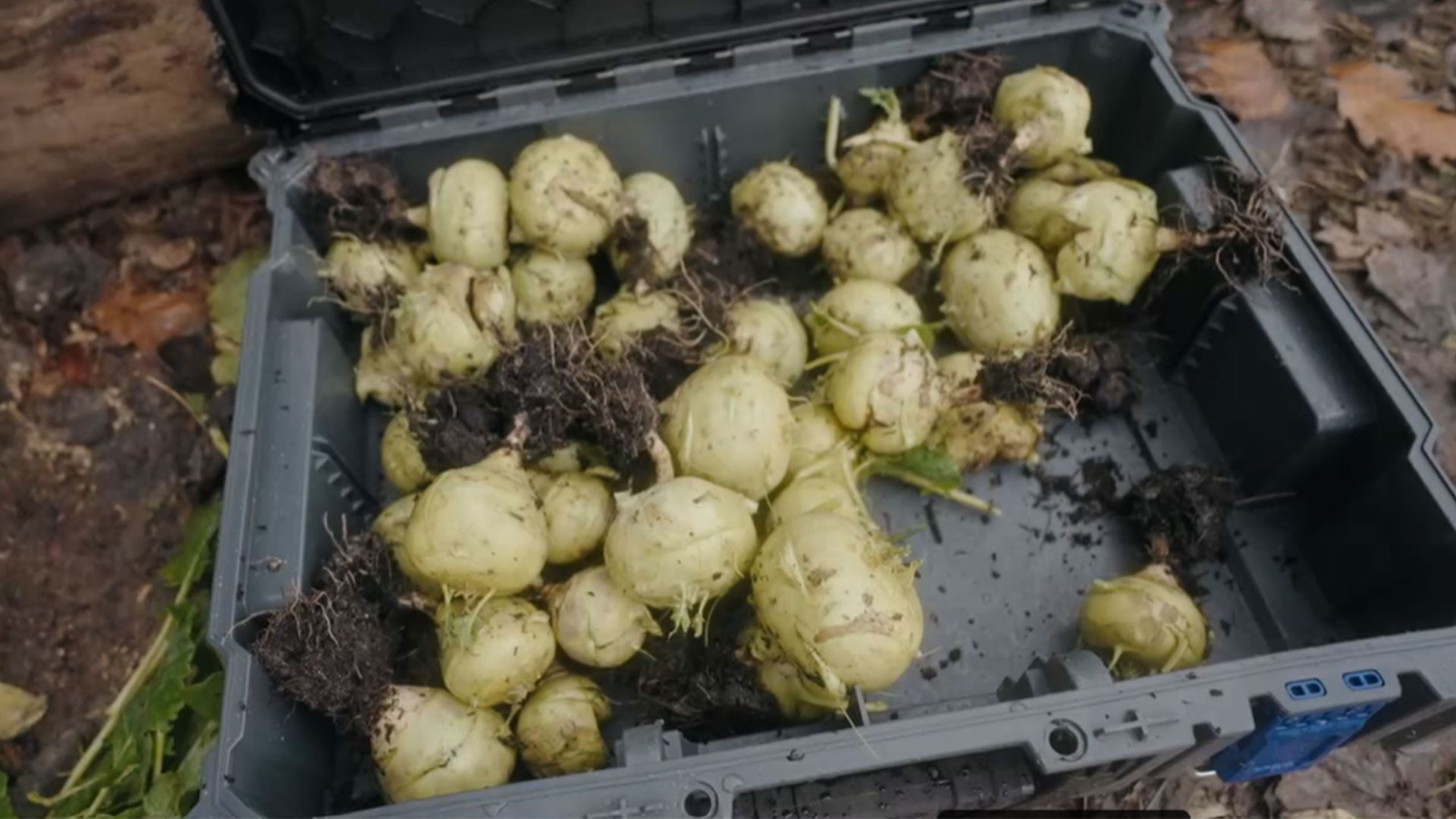 Tag 57: Ackerbauer oder Jäger und Sammler?