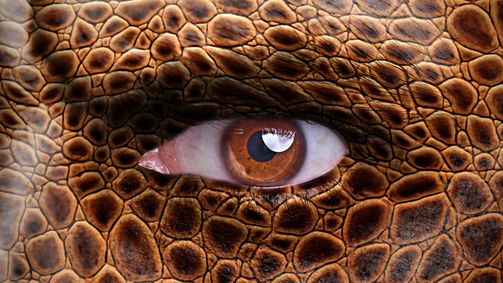 Unerklärliche Phänomene - Ancient Aliens Unerklärliche Phänomene - Ancient Aliens Folge 12: Reptilien