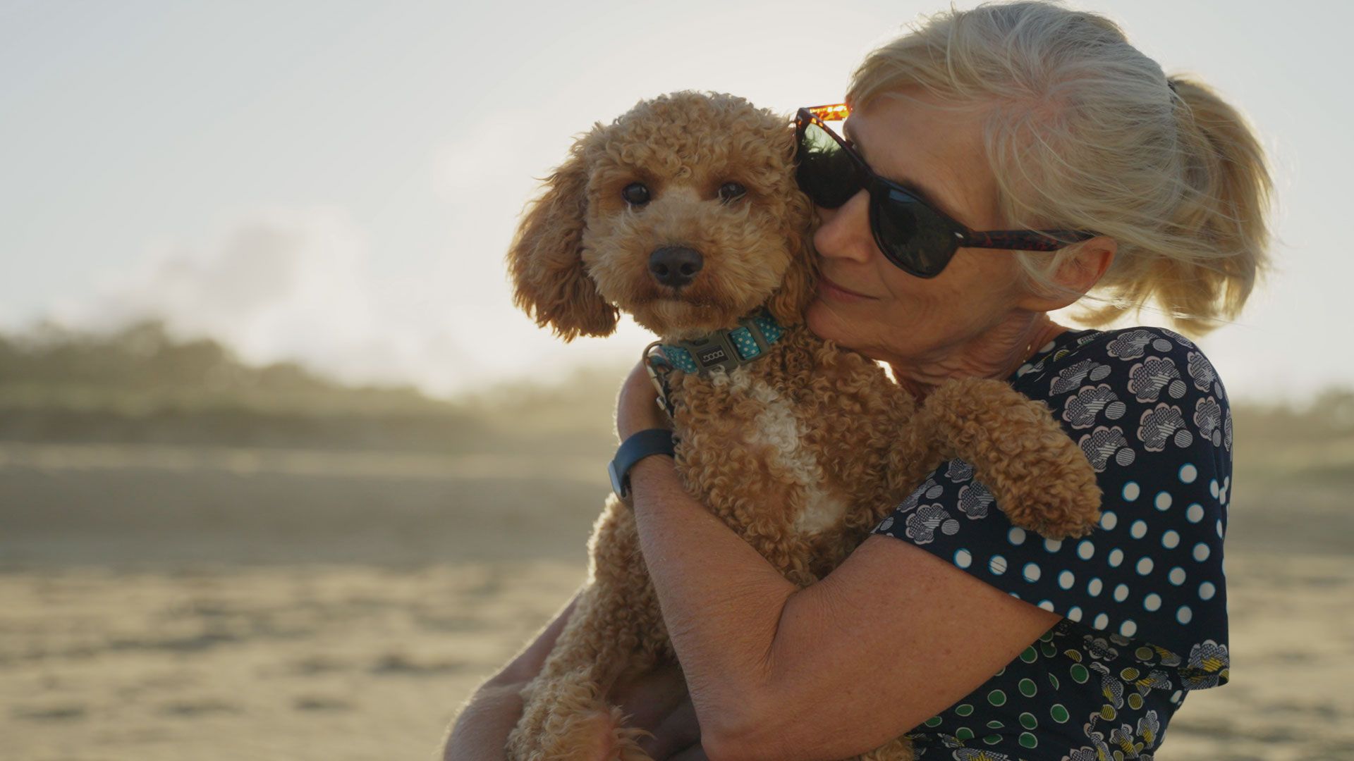 Ein knuddeliges Energiebündel