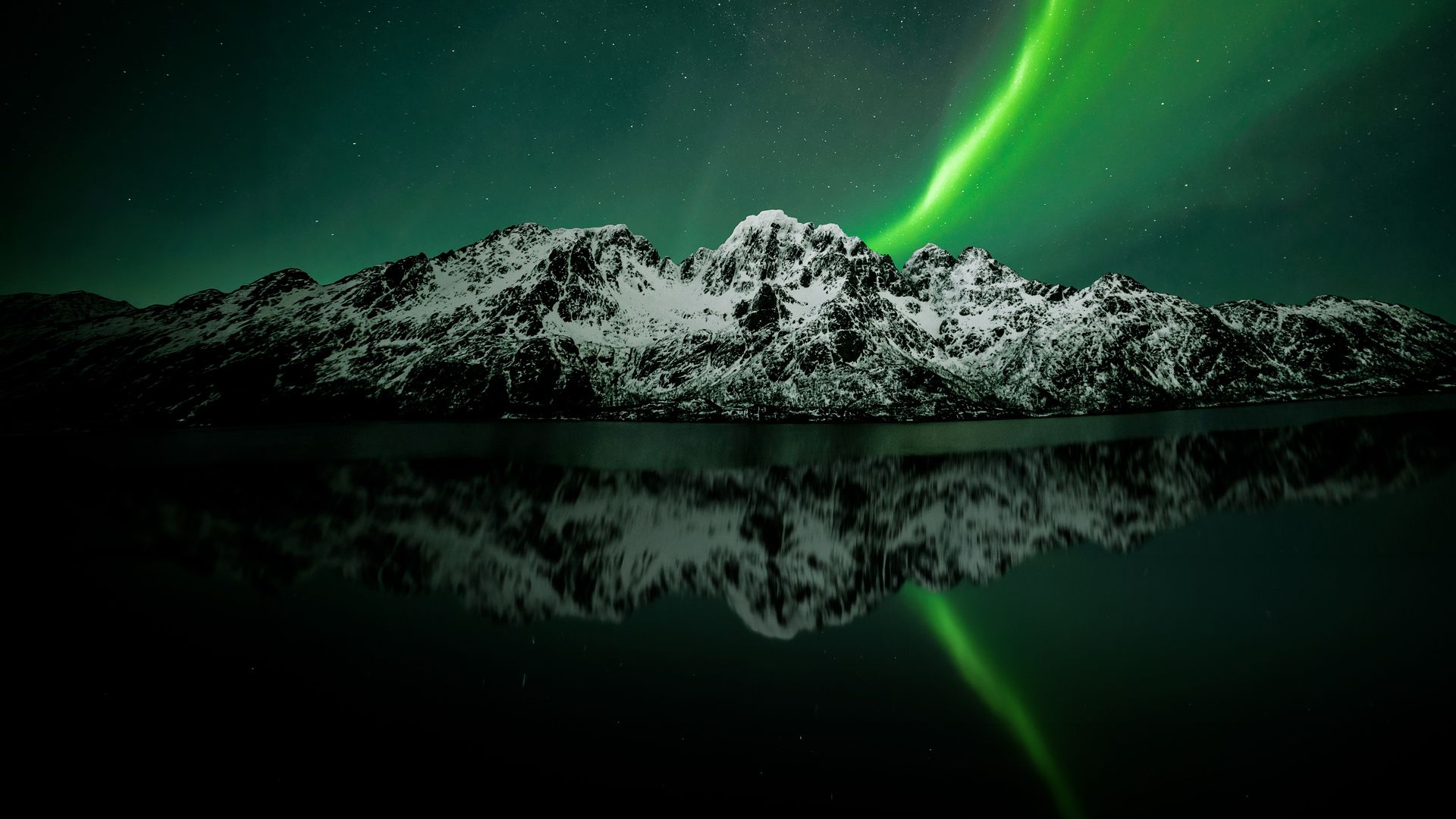 Geheimnisse der Arktis