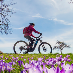 Trends der Fahrradsaison 2026