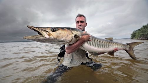 Chasing Monsters - Monsterfischen auf der Spur Chasing Monsters - Monsterfischen auf der Spur Folge 3: Hai vs. Barracuda