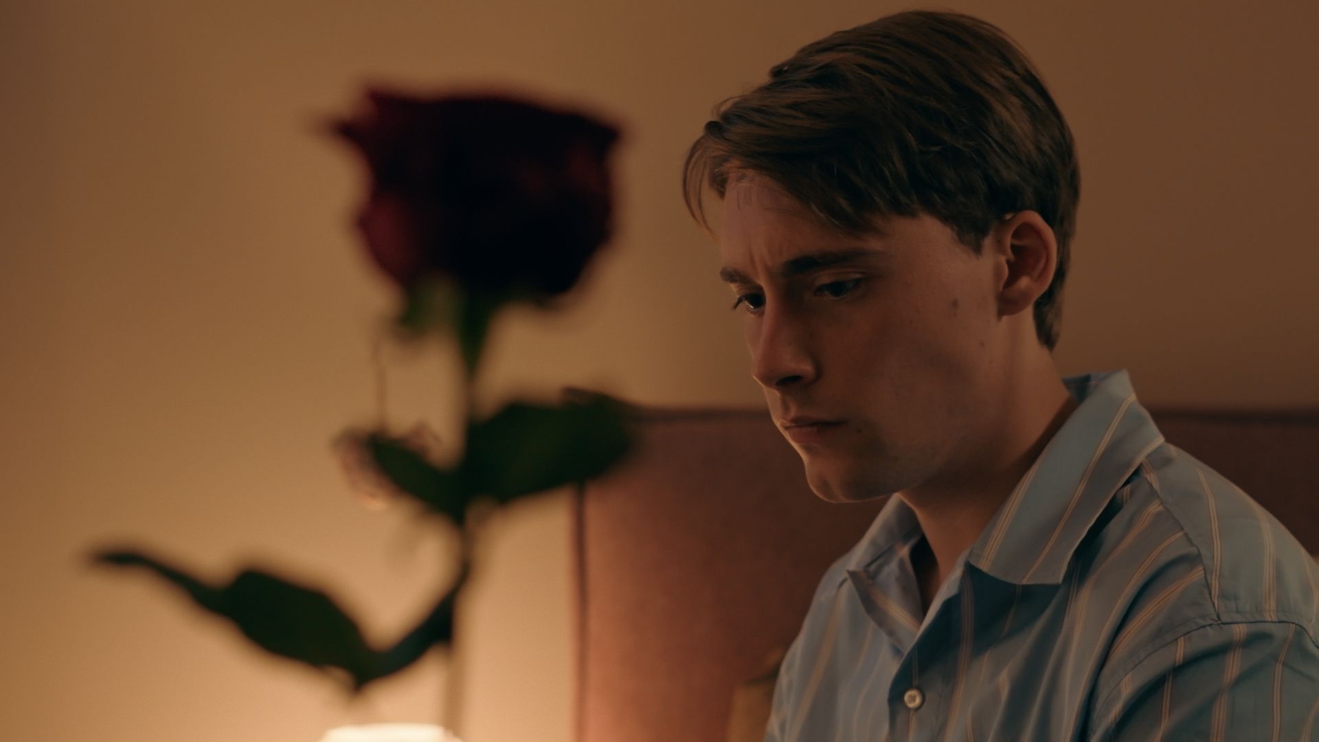 Liebe mit Zuckerguss