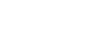 Business Champions - Von Null auf Erfolg