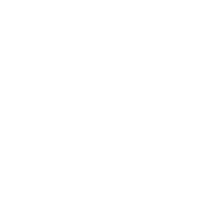 Experte für Alles