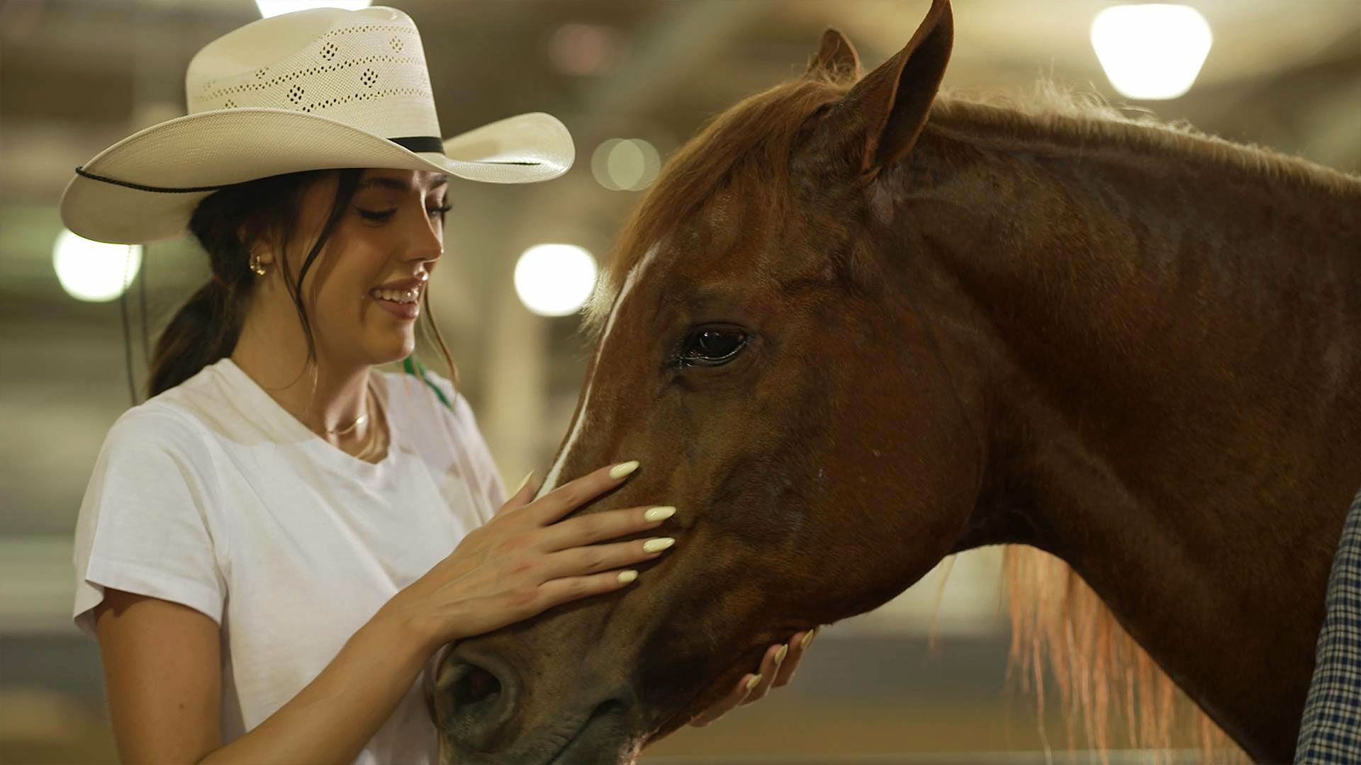 Die Stallones gehen in den Westen