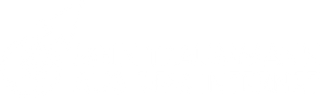 Mein Traummann aus dem Internet