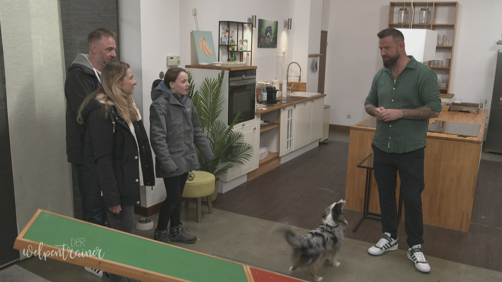 Überraschung! Zwei ehemalige Welpenschüler besuchen Andrè Vogt