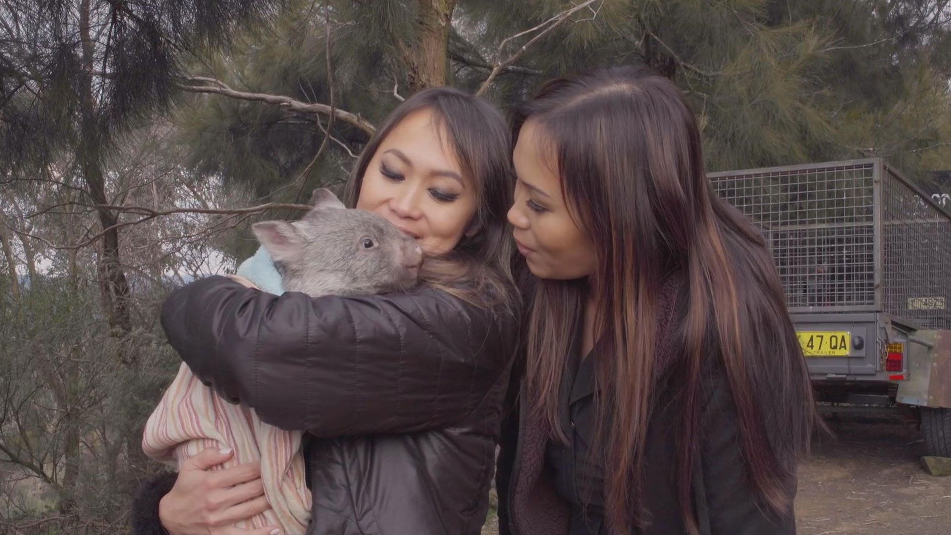 Dicker Hund, dünner Hund