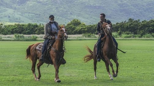 Hawaii Five-0 Hawaii Five-0 Folge 10: Marokko