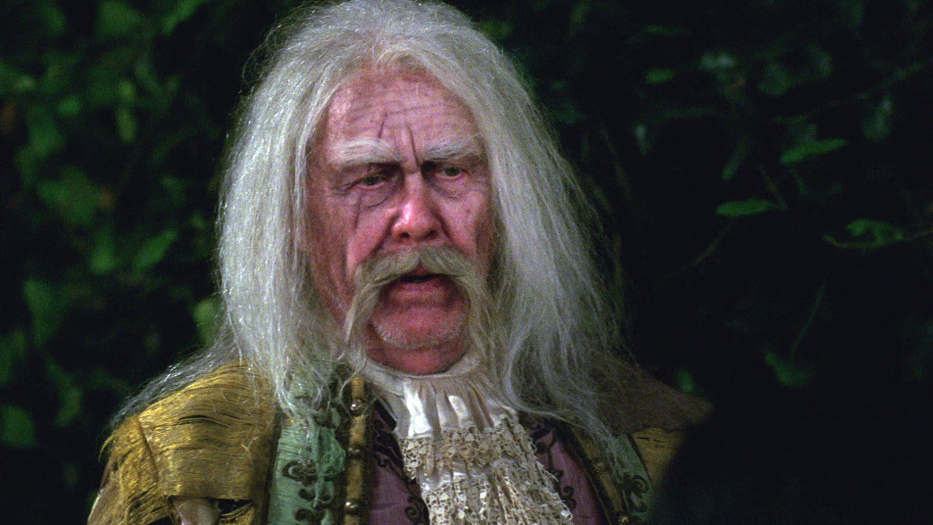 Der Fluch der Piraten