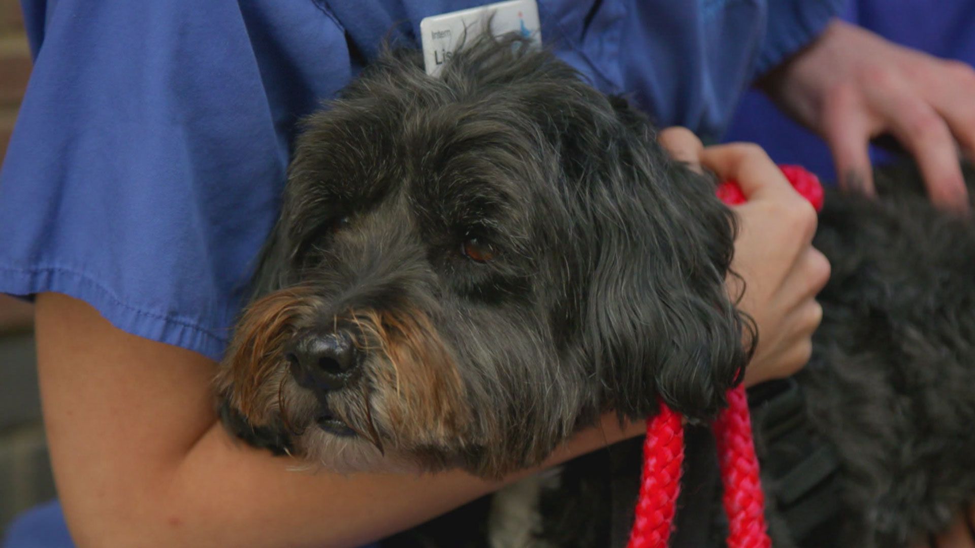Sunny, Bertie und Edith