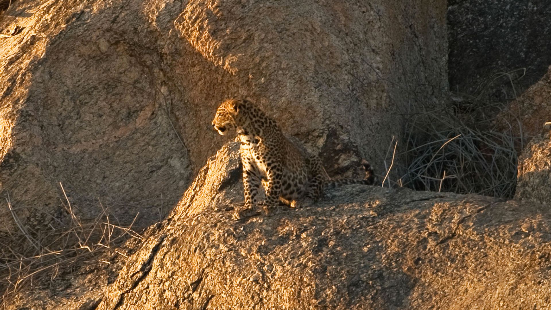 Teenager in der Wüste