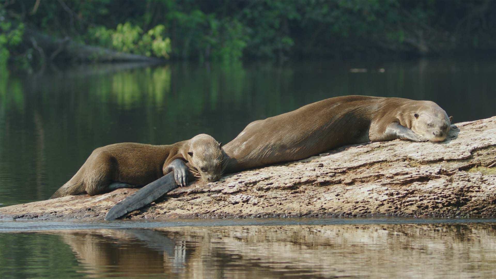 Großes Otter-Schutzgebiet
