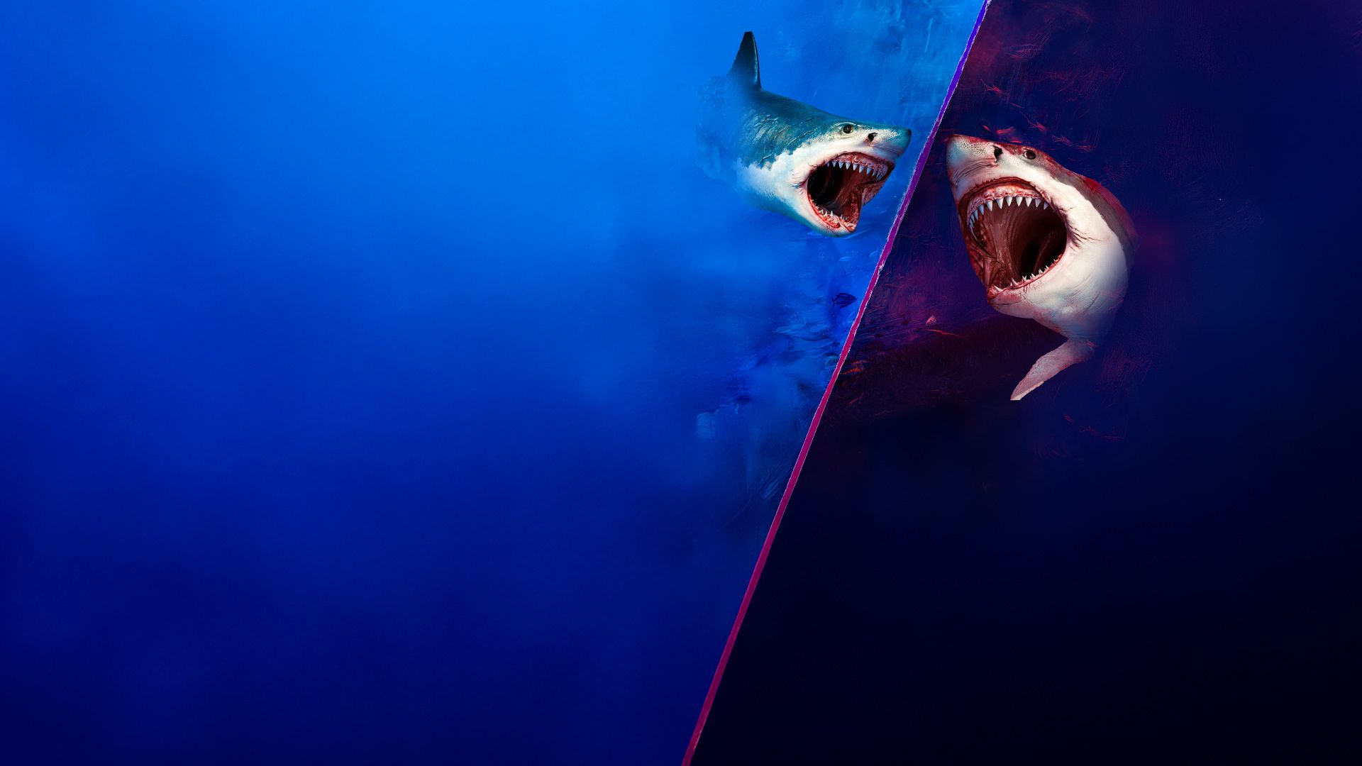 Weißer Hai vs. Megalodon