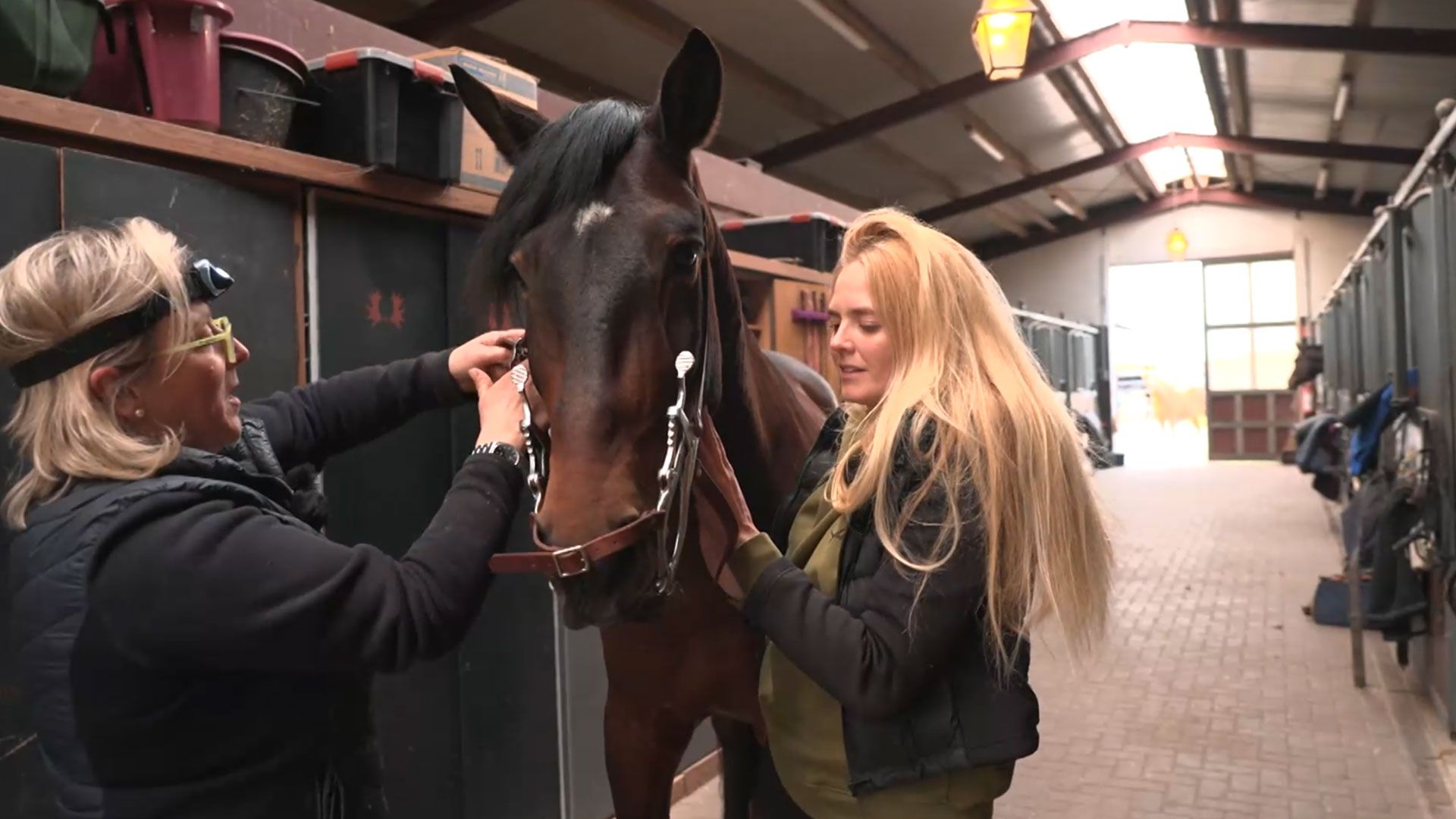 Zahnbehandlung bei Wallach Sistro