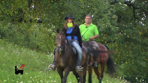 Bauer sucht Frau Bauer sucht Frau - Staffel 14 Folge 15: Bauer sucht Frau Staffel 14 Folge 15 vom - Die Hofwochen