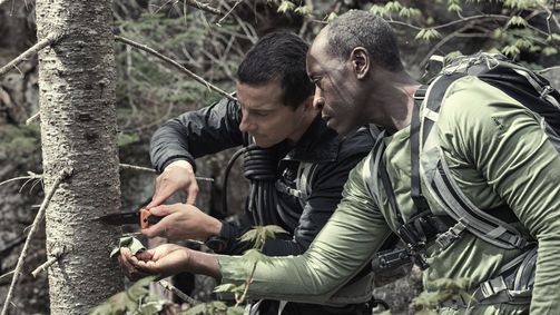 Bear Grylls: Stars am Limit Bear Grylls: Stars am Limit Folge 4: Don Cheadle - White Mountains