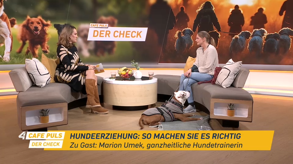 Café Puls - Der Check vom 01.02.2026