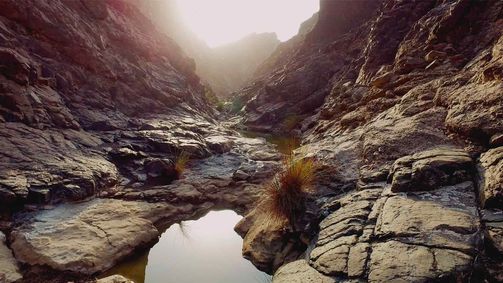 Arabisches Inferno Arabisches Inferno Folge 4: Wunderwelt Wadi