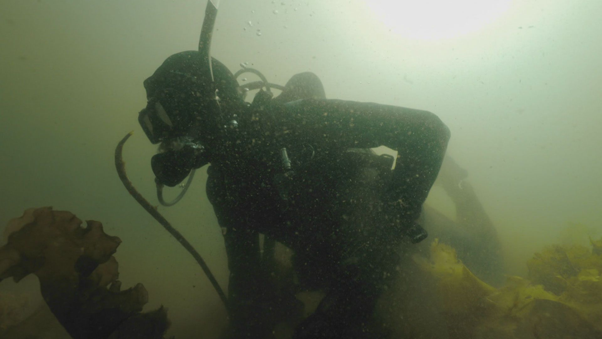Das Schiffswrack
