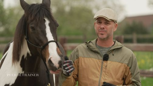 Der Pferdetrainer - Verstehen. Vertrauen. Verbinden. Der Pferdetrainer - Verstehen. Vertrauen. Verbinden. Folge 1: Pferdetrainer Raphael Dysli bringt Reiter und Pferd wieder zusammen