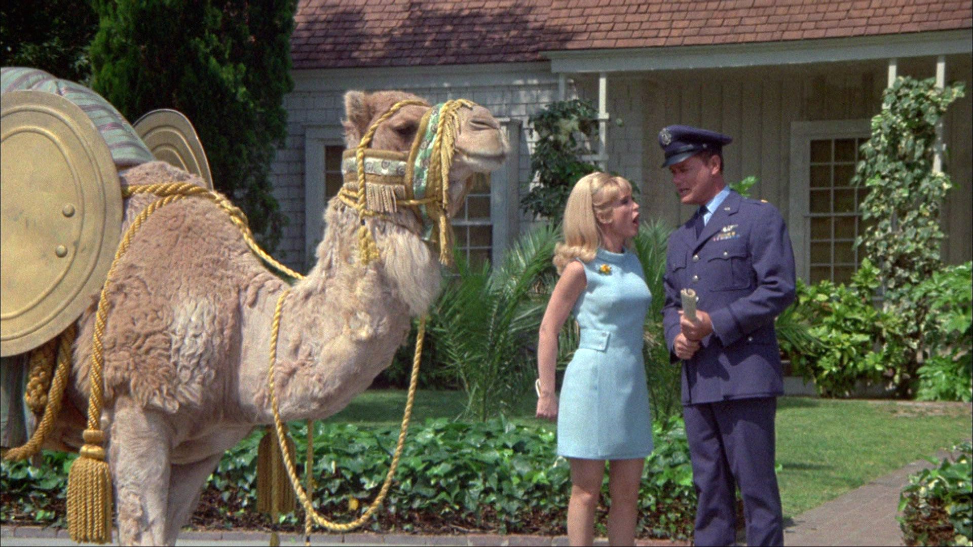 Jeannie ist der Zeit voraus