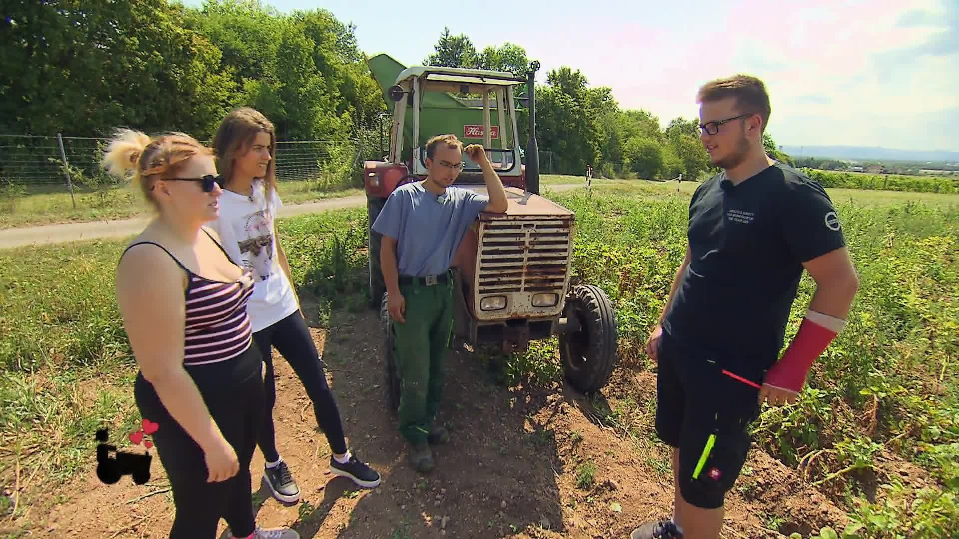 Staffel 19 Folge 18: Hofwochen-Finale