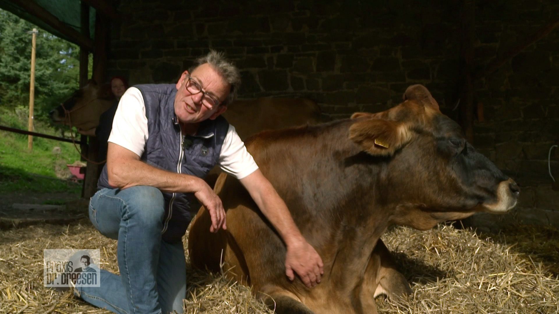 Blutabnahme auf der Heide