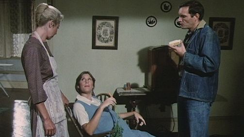 Die Waltons WALTONS, DIE - 06 Folge 7: Das erste Enkelkind (1)