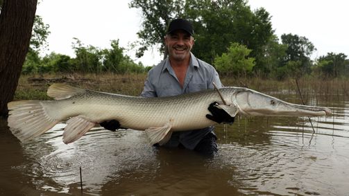 Giganten unter Wasser - Riesenfischen auf der Spur Giganten unter Wasser - Riesenfischen auf der Spur Folge 5: Urzeit-Riesen auf der Spur