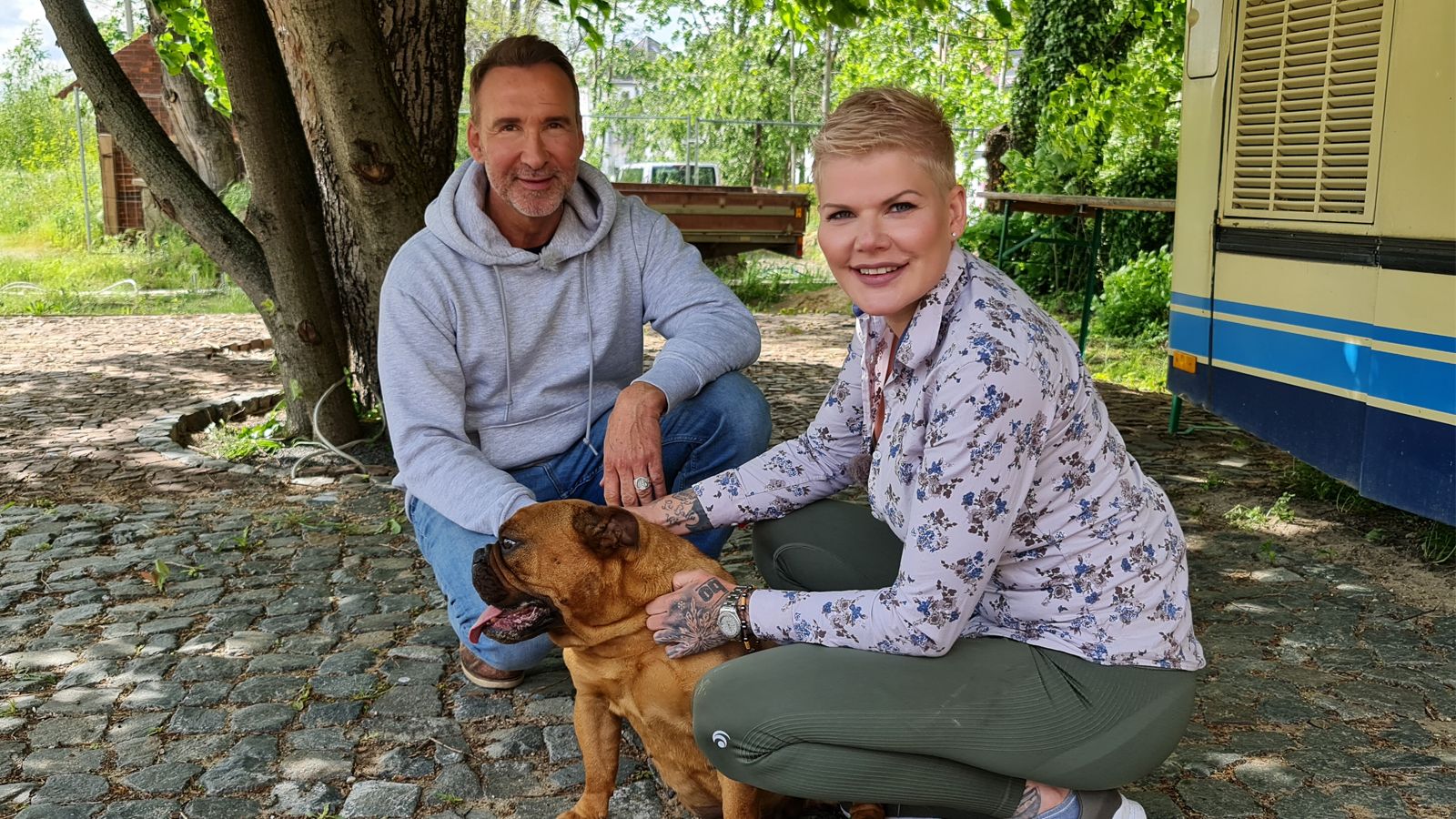 Eine Bulldogge sorgt für Eheprobleme