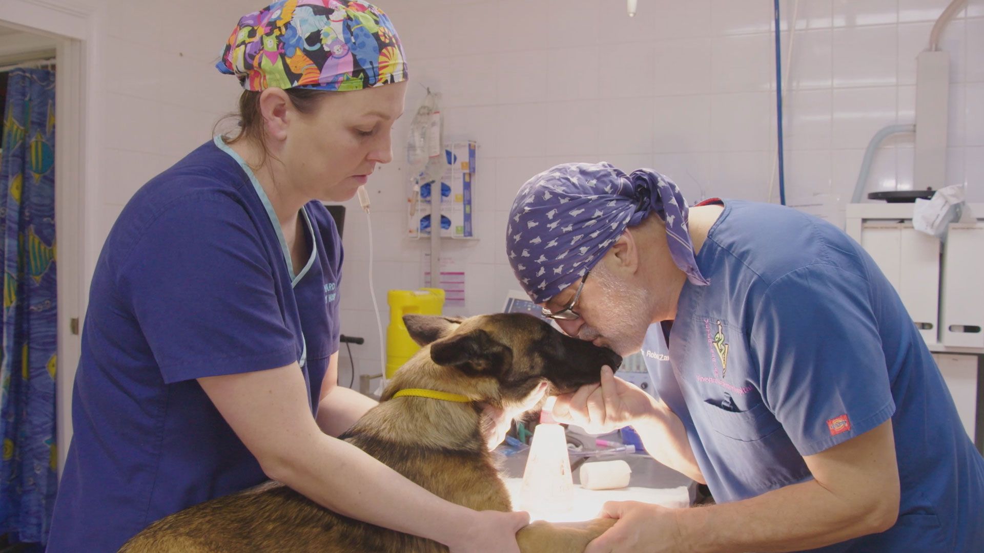 Hund mit Depressionen