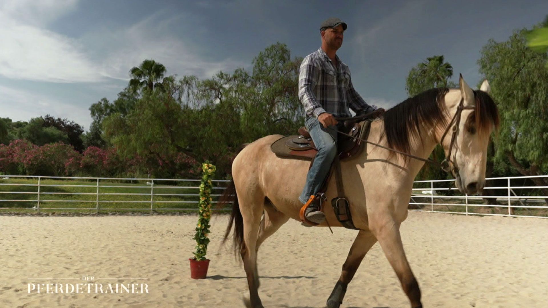 Der Pferdetrainer - Das große Finale