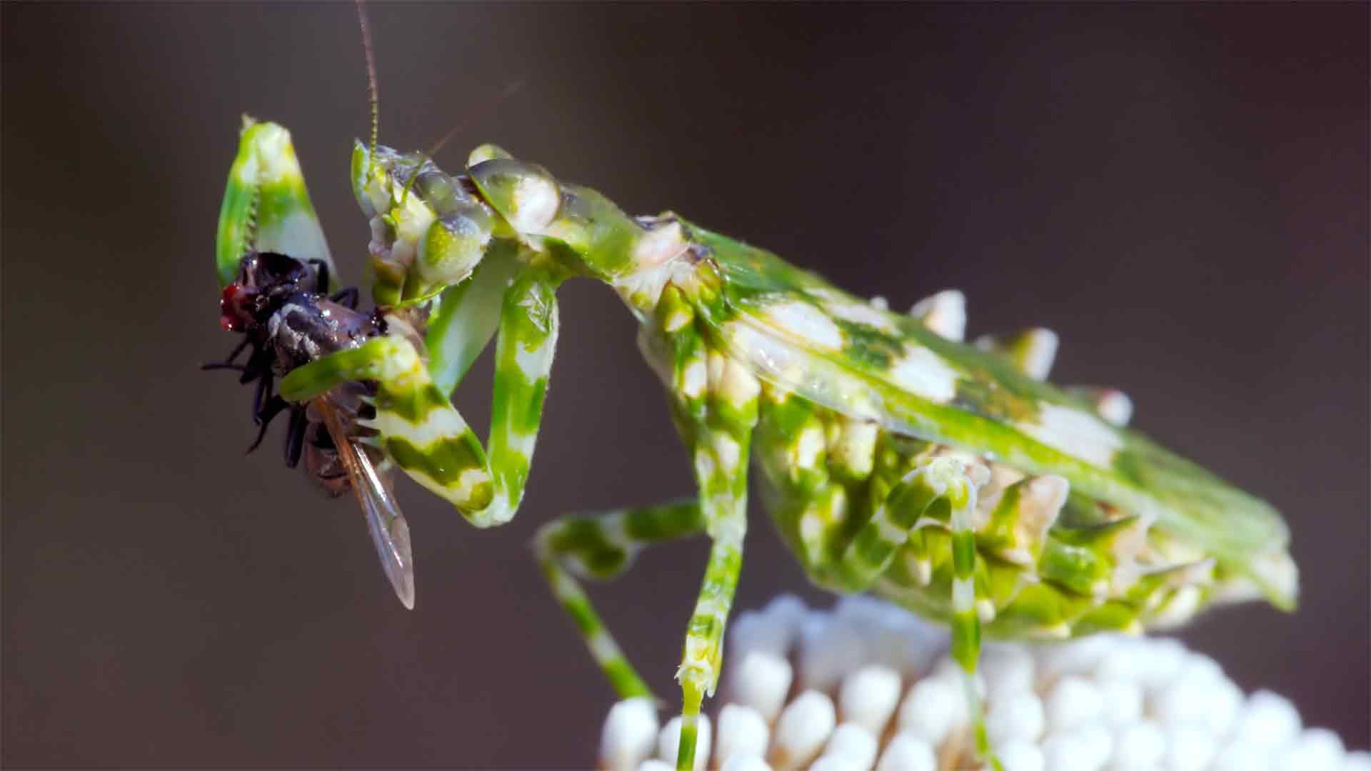 De Hoop: Oase der Hoffnung