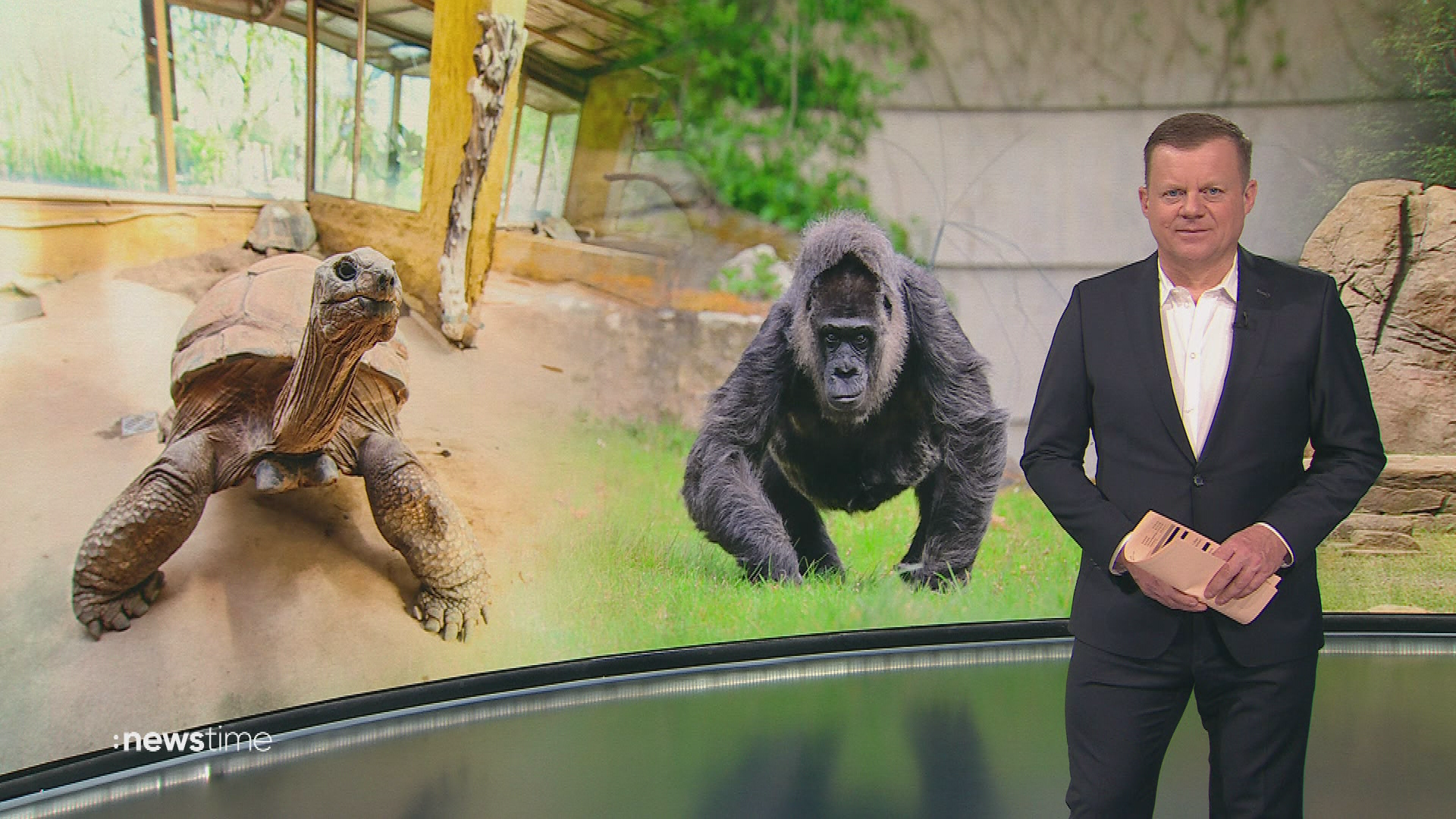 :newstime vom 12. März 2026 | 19:45