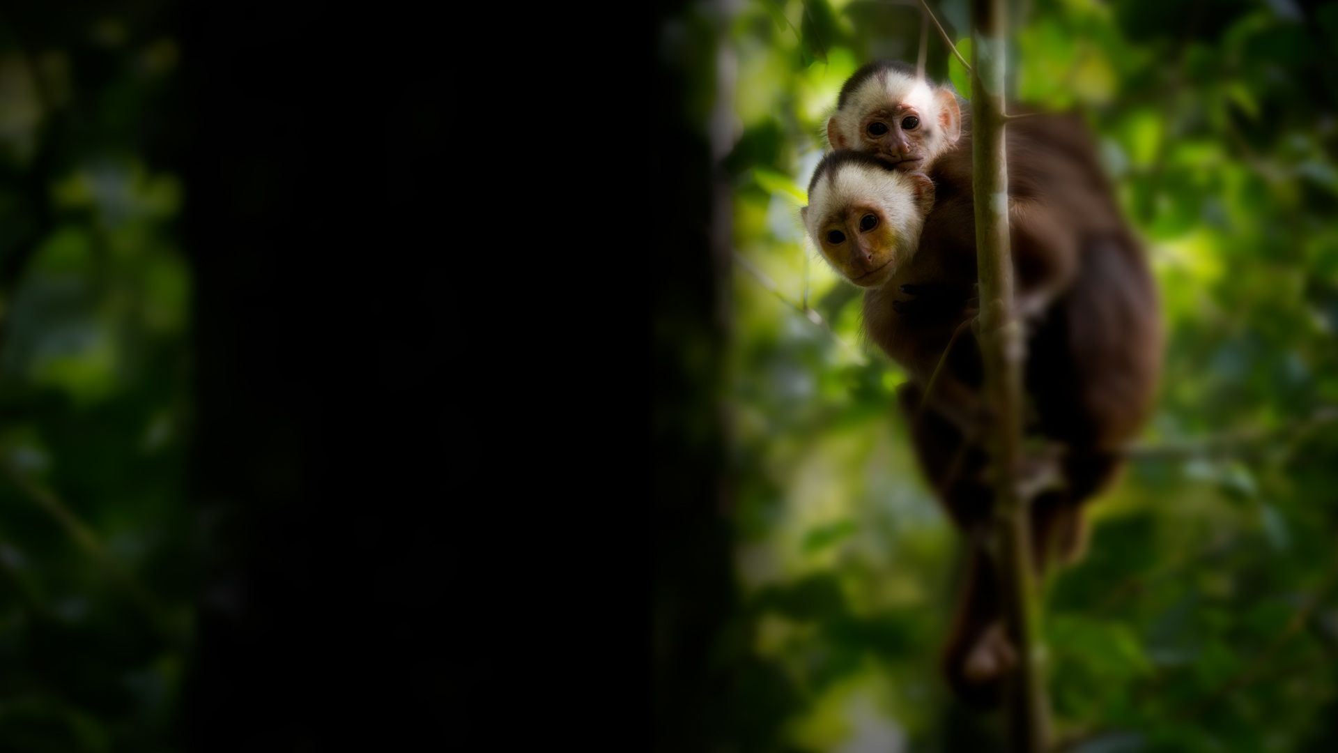 Into the Wild: Kolumbien