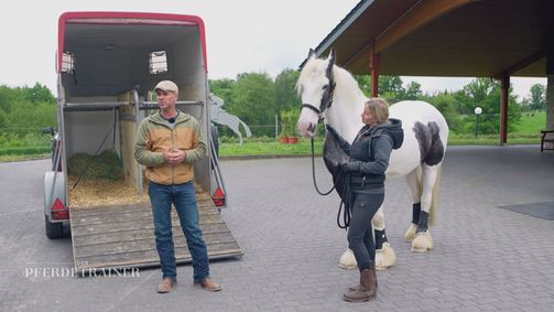 Der Pferdetrainer - Verstehen. Vertrauen. Verbinden. Der Pferdetrainer - Verstehen. Vertrauen. Verbinden. Folge 6: Sitzt die Angst vor dem Anhänger bei Theo zu tief?