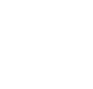 Des Traust Di Nie