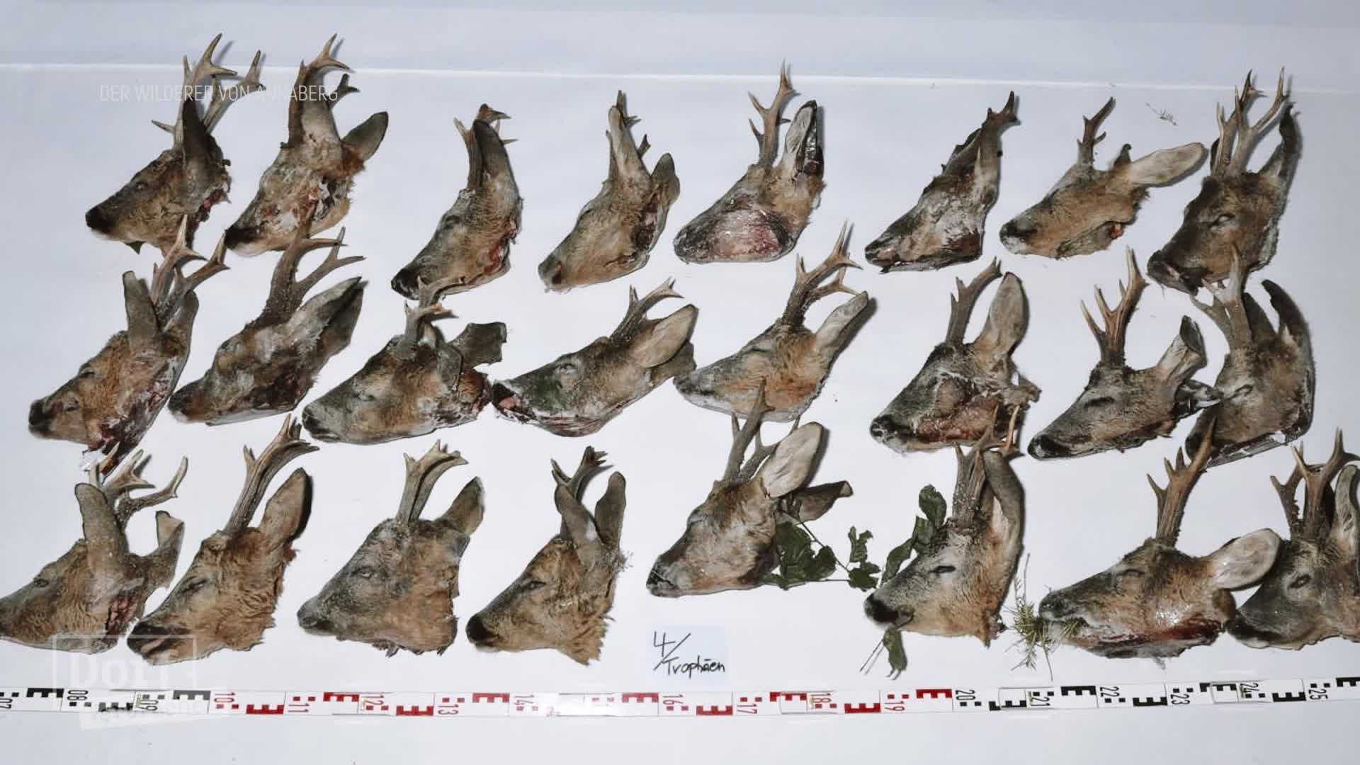 Staffel 1 Folge 5: Der Wilderer von Annaberg