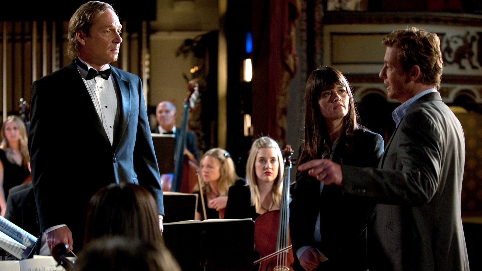 Hortensien lügen nicht