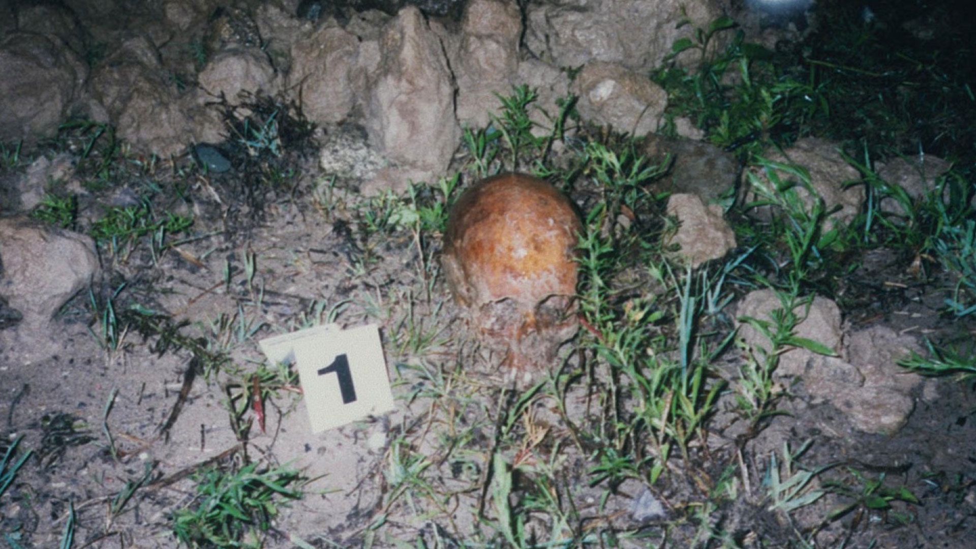 Der Clown des Horrors