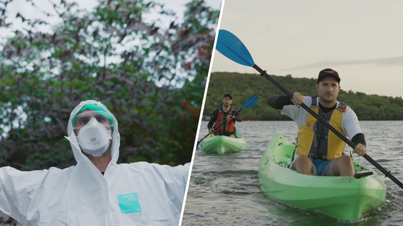 Die größten Rätsel der Welt: Fledermauskolonien & Diamantenbäume